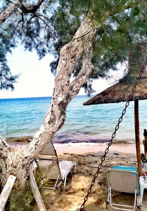 Apartment With 3 Rooms Just 1 Min From The Beach And Free Public Parking Peraía Екстериор снимка